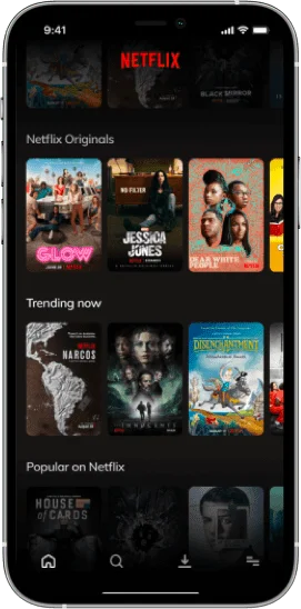 Netflix Device img