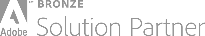 Bronze Solution Partner