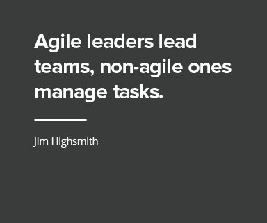 Agile Leaders Image