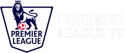Premier League Case Study Logo