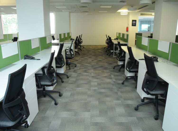 Software Companies Near Me