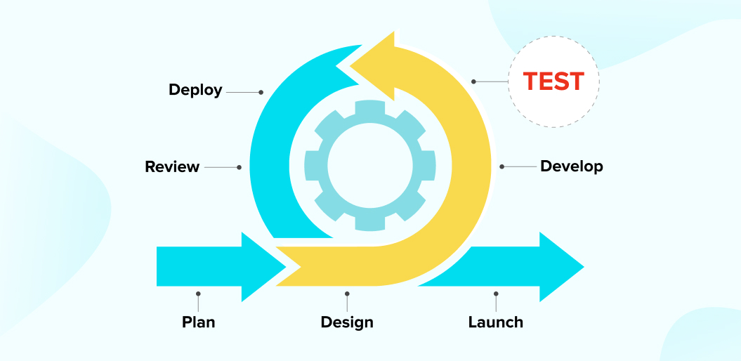plan design launch infographic