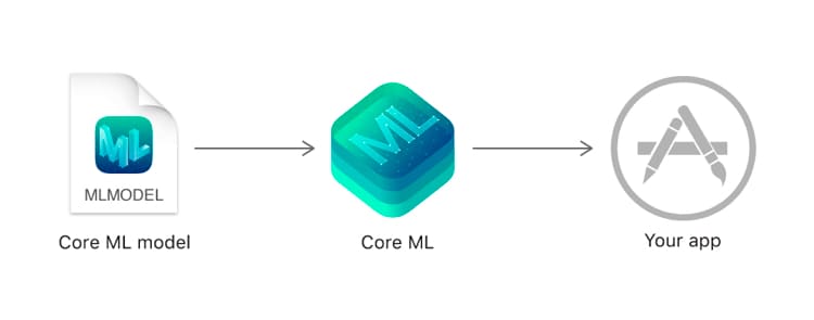 Core ML Model
