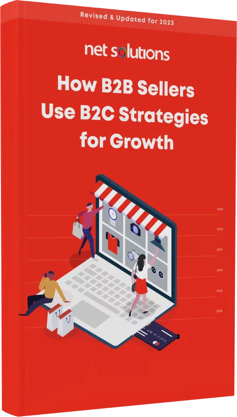How B2B Retailers are using B2C Strategies for Growth ebook