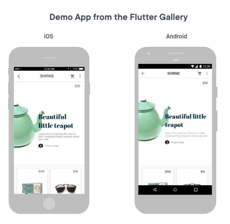 Demo App from the Flutter Gallery