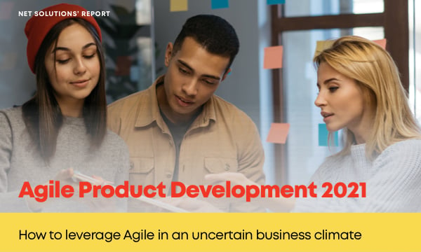 Agile Development report